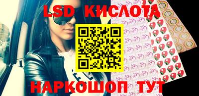гидропоника Гатчина