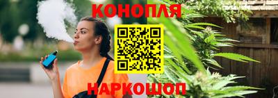 гидропоника Гатчина