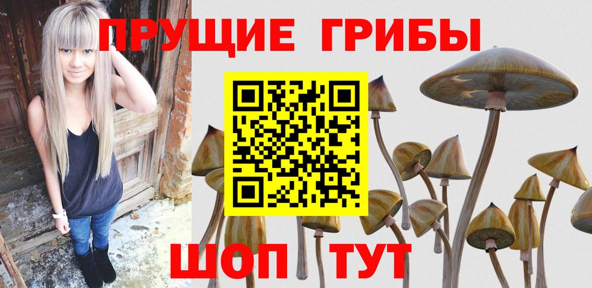 Псилоцибиновые грибы мухоморы Губкинский